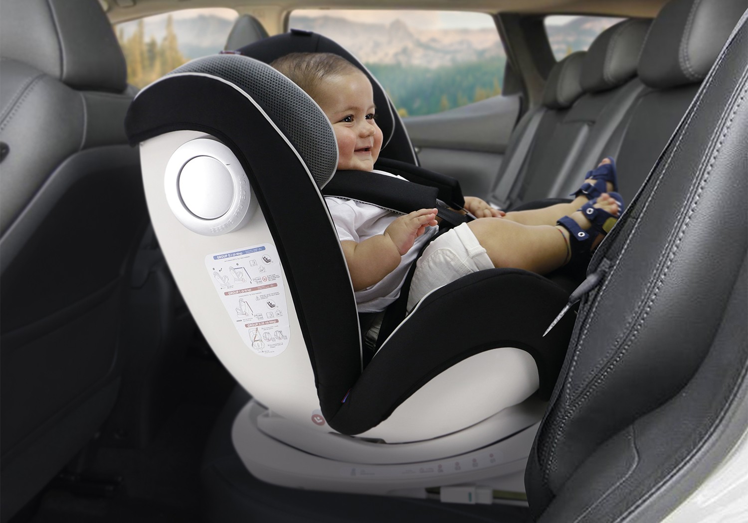 Sillas a contramarcha